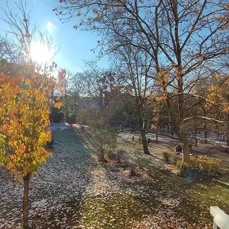 Sonnige Wohnung Mit Parkblick Nahe Schoenbrunn Vienna Exterior photo